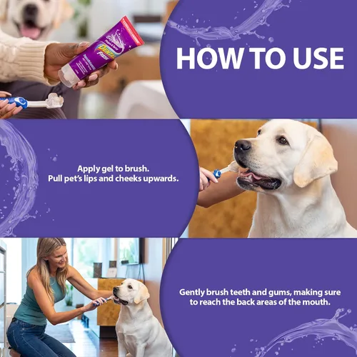 Vista 3 de Dental Fresh Gel enzimático para perros, pasta de dientes para perros - Esenciales para perros para la limpieza de dientes de perro