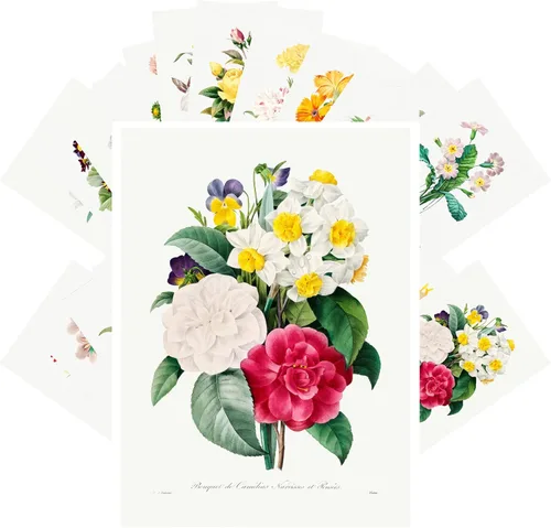 Vista 21 de PIXILUV Johann - Postales vintage (24 unidades), diseño de flores salvajes, jardín, aun vida, arte de pintura de museo antiguo, reimpresión