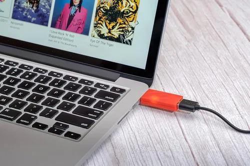 Vista 3 de iFi iDefender+ Eliminador de bucle de tierra de audio USB (tipo A > A)