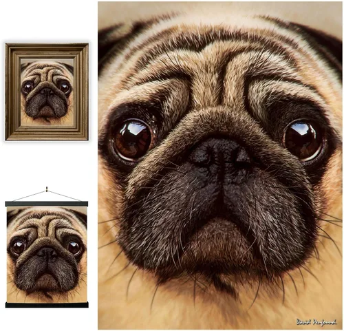 Vista 18 de 3D LiveLife Imágenes lenticulares - Animales de granja de bebés de Deluxebase. Arte de pared de animales de 12 x 16 pulgadas sin marco con efecto 3D