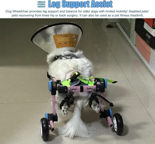 Vista 5 de Silla de ruedas para perros para patas traseras, carrito de silla de ruedas para perros, sillas de ruedas plegables para perros/asistencia