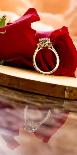 Vista 6 de BORUO Anillo de plata de ley 925, circonita cúbica, anillo de compromiso de eternidad, anillo de boda, tamaño 4 a 12