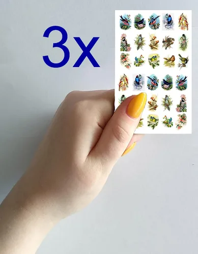 Vista 2 de Pegatinas para uñas (5 hojas) FLONZNAIL Impresionantes pájaros ilustración de libro vintage