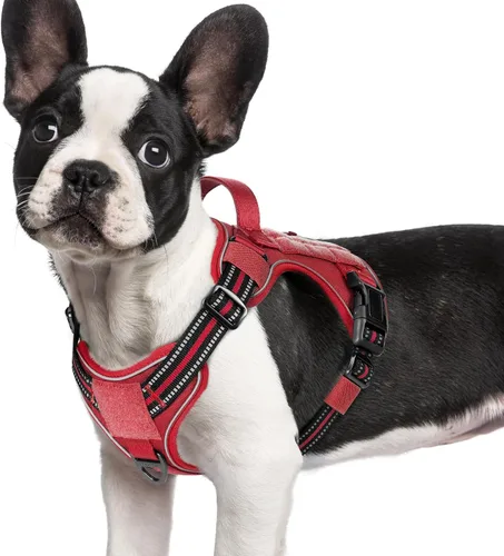 Vista 12 de rabbitgoo - Arnés para perros pequeño sin tirones, chaleco táctico de servicio con Molle y asa de control, arnés militar ajustable y reflectante