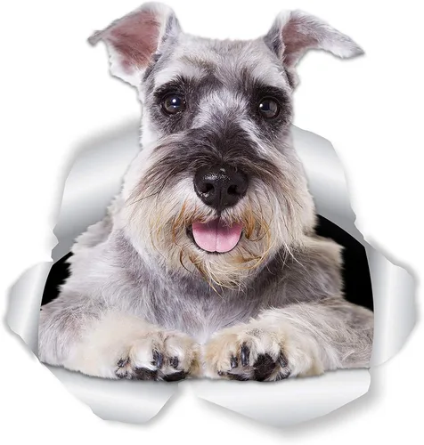 Vista 7 de Winston & Bear Smiling Schnauzer - Calcomanías de pared para perro, paquete de 2, mini calcomanías 3D de Schnauzer para paredes, automóviles