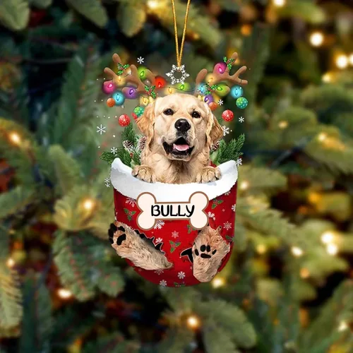 Vista 182 de IZI POD Affenpinscher Adorno de Navidad personalizado para perro, adorno de bolsillo de nieve para perro para árbol de Navidad, adorno acrílico