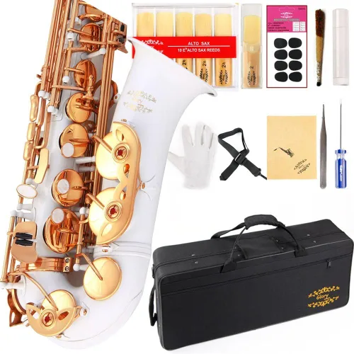 Vista 5 de Kit de cuidado para saxofón con 11 reeds, 8 para saxofón alto cojines, funda, Glory E Flat