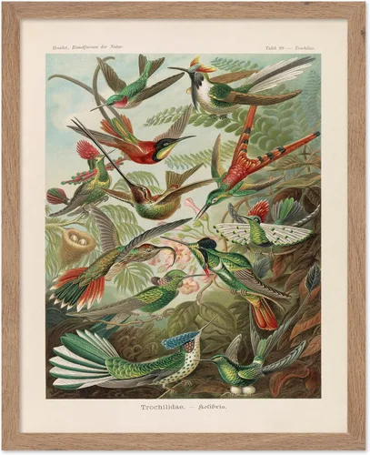Vista 13 de Poster Master Póster vintage de James Audubon – Impresión retro de amargo americano – Arte de aves de América – Regalo para hombres, mujeres