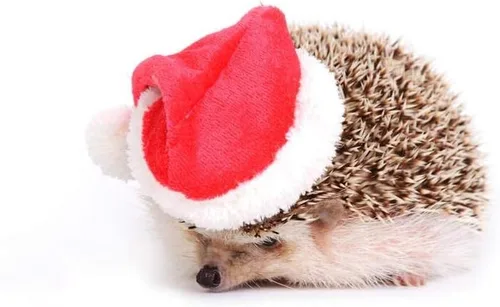 Vista 4 de Ropa de erizo, disfraz de Navidad, traje de Papá Noel, ropa de animal pequeño, forro polar hecho a mano, sudadera con capucha de erizo, accesorios