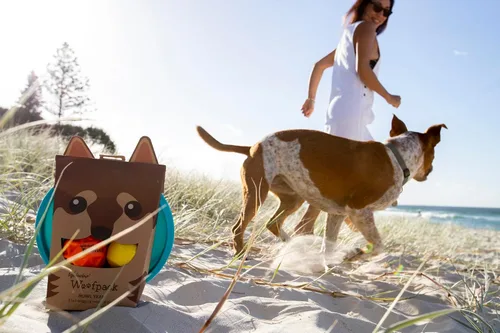 Vista 2 de Waboba Woofgames - Juego de juguetes para perros para mascotas, paquete interactivo de juguete para aliviar el aburrimiento con disco volador