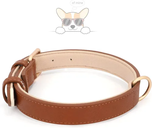 Vista 3 de WHIPPY Collar de cuero para perro pequeño y mediano, ajustable, suave, transpirable, de cuero, acolchado, con hebilla de aleación, resistente al