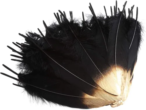 Vista 2 de 50 plumas de ganso bañadas en oro, coloridas plumas de ganso bañadas en plata, 6-8 pulgadas de longitud para manualidades, hogar, fiesta, boda
