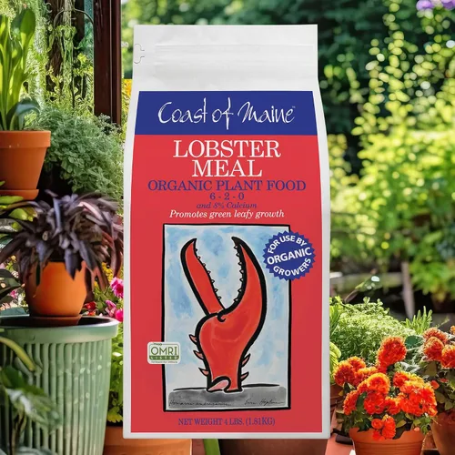 Vista 2 de Coast of Maine Harina de langosta, 4 libras (paquete de 2) alimento orgánico para plantas y calcio, con certificación OMRI, para crecimiento