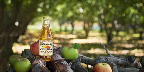 Vista 8 de Martinelli's Jugo de manzana espumoso, 10 onzas (paquete de 12)