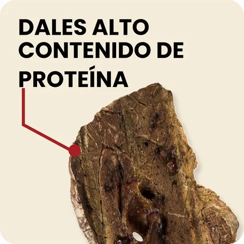 Vista 8 de Redbarn Choppers - Filetes naturales de pulmón de carne 100% carne seca