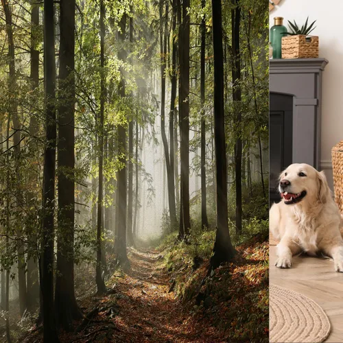 Vista 17 de Película decorativa de privacidad para ventana, control de calor, bloqueo solar, protección UV, diseño de bosque de abedul, adherencia estática