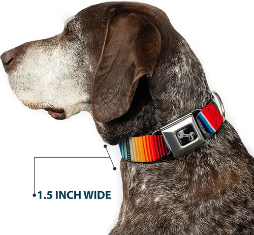 Vista 7 de Buckle-Down Zarape2 - Collar de perro con hebilla de cinturón de seguridad, rayas multicolor verticales, 1.5 pulgadas de ancho, se adapta a cuello