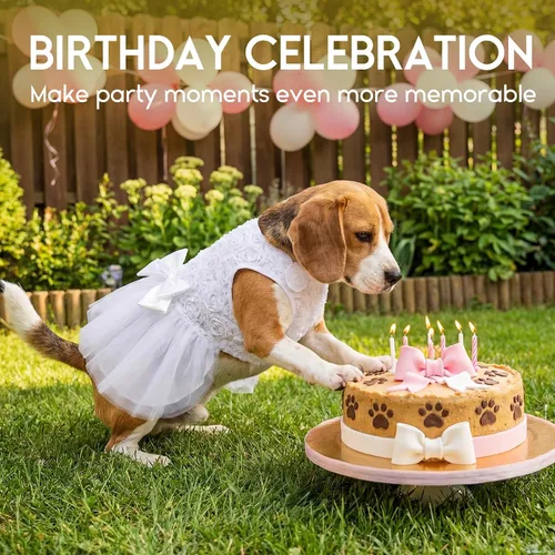 Vista 6 de ASENKU Vestido para Perro Vestido de Boda para Mascota Vestido de Princesa de Encaje para Cachorro Traje de Fiesta de Cumpleaños Ropa Formal