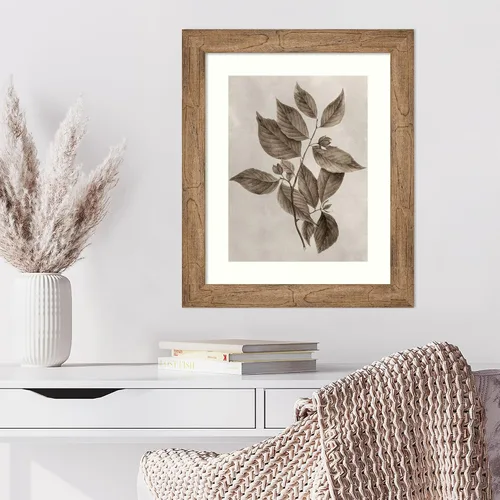 Vista 4 de Amanti Art Lienzo decorativo para pared enmarcado de 24 x 20 pulgadas, muestra de árbol III de Vision Studio, arte de pared de naturaleza