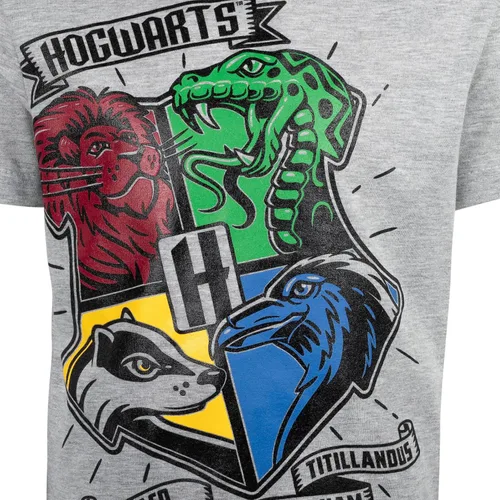 Vista 5 de Harry Potter Conjunto de camiseta y pantalones cortos de rizo francés
