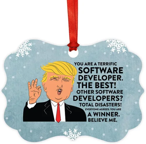 Vista 147 de Andaz Press Presidente Donald Trump Fancy Frame Recuerdo Adorno de Navidad Regalo de broma Ejecutivo de Cuenta, 1 paquete, Divertidas Ideas