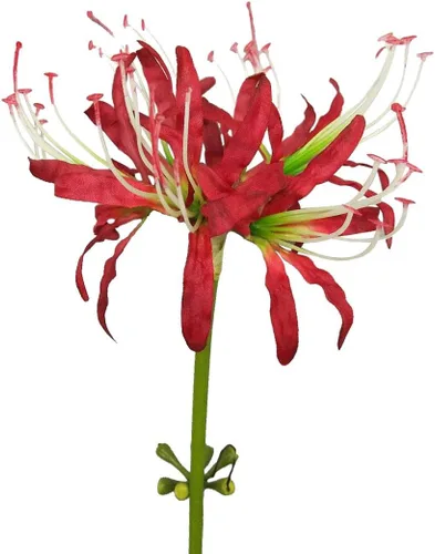 Vista 8 de Calcifer 3 tallos de lirios de araña roja, flores artificiales, bulbos de Lycoris (rojo oscuro)
