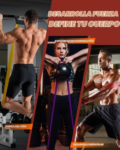 Vista 2 de Fitense Resistance Bands Set - Pull Up Bands for Men Women, Exercise Bands Resistance with Door Anchor, Training Poster & Pouch for Body Stretching