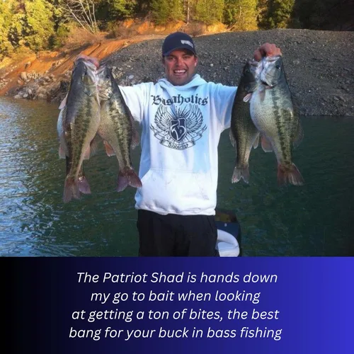 Vista 6 de USA Bass Tackle Patriot Shad - Swimbaits de Cola de Paleta con Aroma Infundido, Señuelos de Pesca Pre-Aparejados, Carnada Premium con Anzuelo Owner