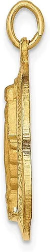Vista 2 de ICE CARATS Colgante de medalla milagrosa ovalada de oro amarillo de 14 quilates, joyería fina religiosa para mujeres, regalos para ella, Oro