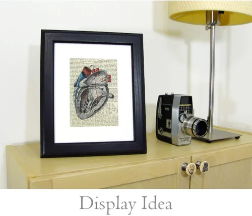 Vista 2 de Jellyfish Discomedusae no. 4 Ernst Haeckel Upcycled Vintage Book Page Art Print 8x10 Unframed