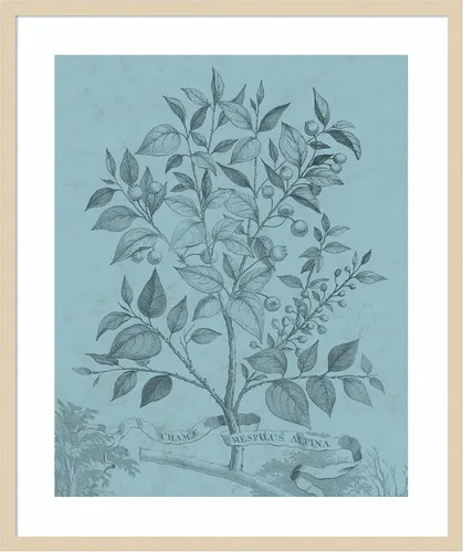 Vista 7 de Amanti Art Vision Studio - Póster enmarcado de 24 x 20 pulgadas, diseño botánico en V verde azulado por Vision Studio, arte de pared de naturaleza