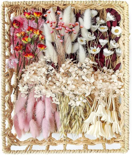 Vista 11 de xin's convey Kit de flores preservadas naturales de bricolaje, flores preservadas al por mayor para jarrones, flores preservadas con tallos, mini