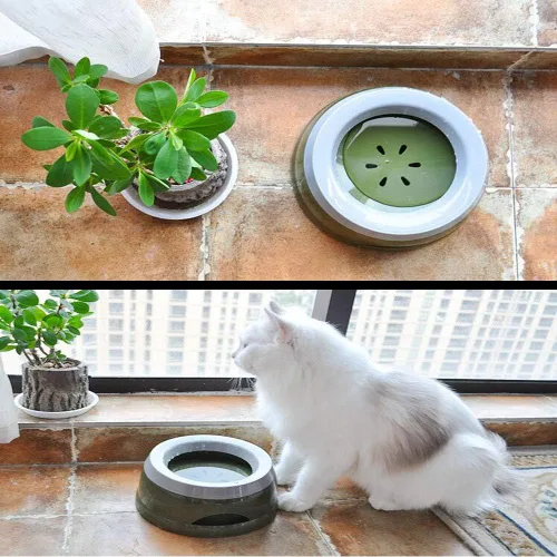 Vista 6 de Love Dream Cuenco de agua para perros sin derrames, alimentador lento de agua para perros, sin goteo, dispensador de agua para mascotas, 25 onzas