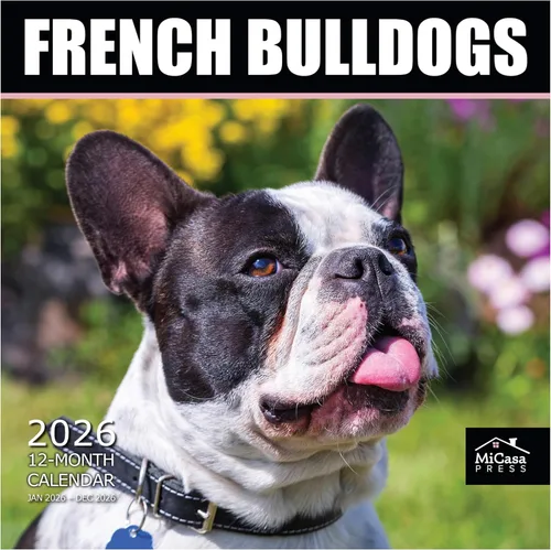 Vista 52 de MICASA PRESS Calendario de pared de Australian Shepherds Aussies 2027 02 - Pastores australianos