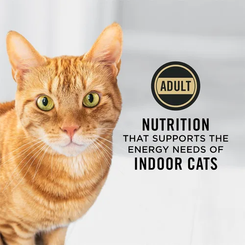 Vista 2 de Purina Pro Plan - Alimento para gatos para el control de bolas de pelo, para interiores, fórmula de pavo y arroz - Bolsa de 16 libras