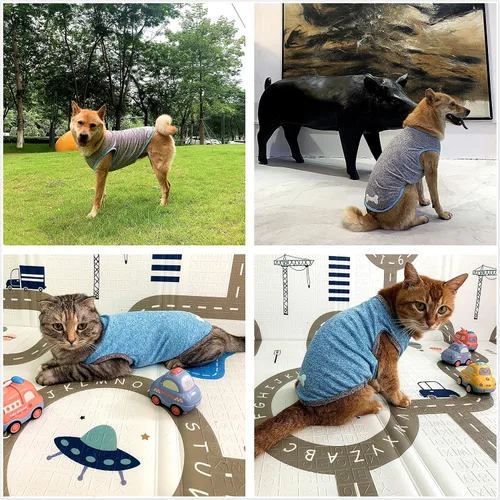 Vista 5 de Camisa para perros y gatos en tela tecnológica con estampado luminoso, ropa para mascotas para perros grandes, medianos y pequeños, paquete de 2