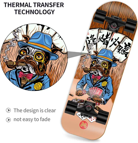Vista 3 de Patineta completa para mascotas diseñada para perros y mascotas