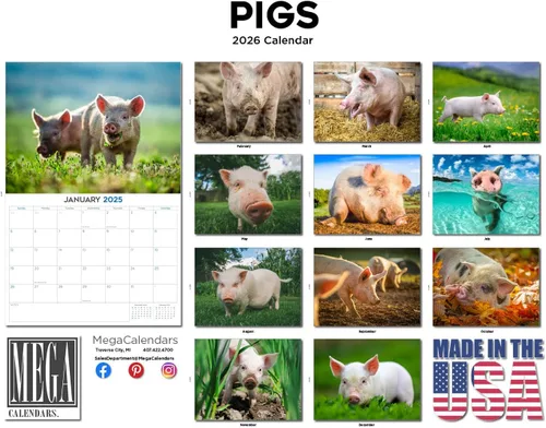 Vista 91 de Calendario de grises africanos 2025 2026 – Planificador mensual de pared de aves africanas – 12 x 18 pulgadas (abierto), calendario de pared
