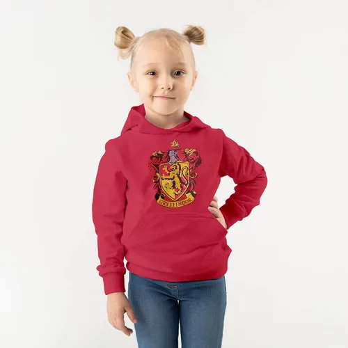 Vista 4 de Harry Potter Hogwarts School of Witchcraft and Wizardry House Crest - Sudadera con capucha para jóvenes