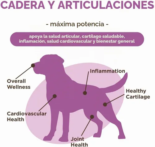Vista 4 de VetPro Complete Glucosamina para perros – Masticables suaves de máxima fuerza con condroitina, MSM, cúrcuma, vitamina C, Omega 3 – trata