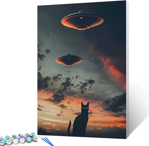 Vista 14 de Tucocoo Graffiti Astronauta - Pintura por números para adultos, espacio exterior, astronauta, pintura al óleo digital, pintura acrílica, kits