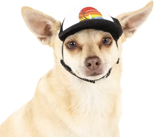 Vista 22 de Sunset Collection, sombreros de camionero de PupLid para perros (XXS) Protección solar elegante de alta calidad para el perro moderno, ajustable