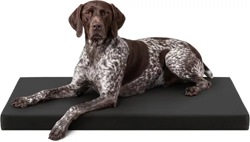 Vista 22 de K9 Ballistics Cama ortopédica Ripstop resistente – Almohadilla duradera para perrera con funda lavable para perros grandes, 41 x 27 pulgadas se azul
