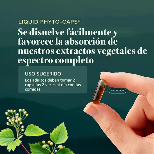 Vista 6 de Gaia Herbs Cúrcuma Supreme Joint Health, 60 cápsulas veganas