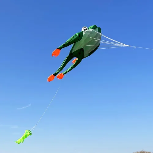 Vista 6 de HENGDA KITE Cometa de rana 3D para adultos, cometas gigantes de parafoil suave sin marco