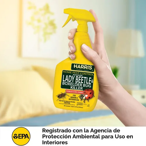 Vista 4 de Harris Asian Lady Beetle and Box Elder Killer, spray líquido con fórmula residual extendida sin olor y sin manchas (32 onzas)