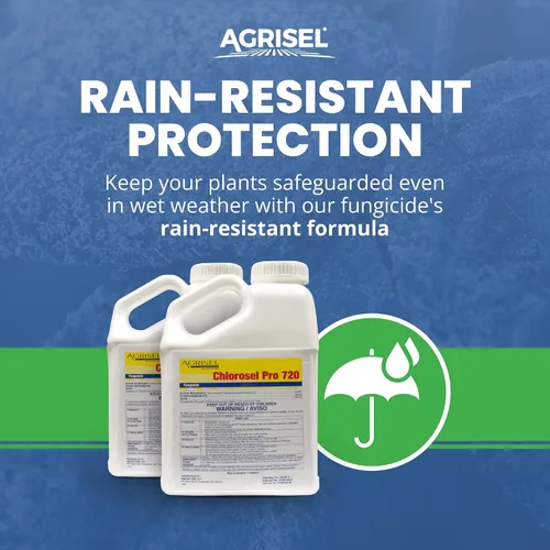 Vista 3 de Agrisel Chlorosel Pro 720, versátil control de enfermedades, fórmula resistente a la lluvia, eficaz en más de 100 cultivos, ideal