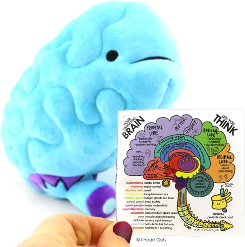 Vista 4 de Peluche de cerebro– ¡All You Need Is Lobe! - Serie I Heart Guts.