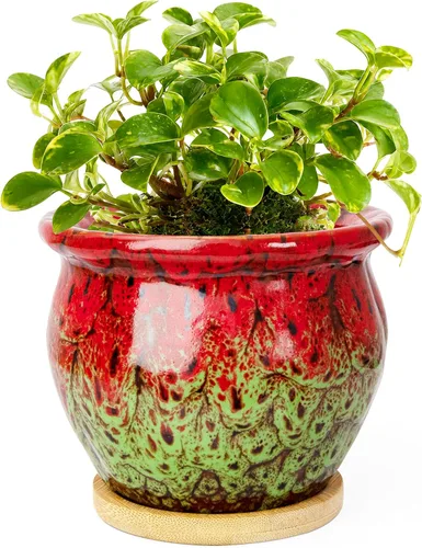 Vista 14 de ARTKETTY Macetas de 4.5 pulgadas con drenaje, pequeñas macetas de cerámica para plantas de interior Rojo