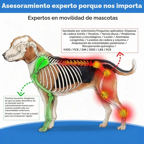 Vista 6 de Silla de ruedas para perro para patas traseras, silla de ruedas para perro con neumáticos todo terreno y rodamientos duraderos, silla de ruedas